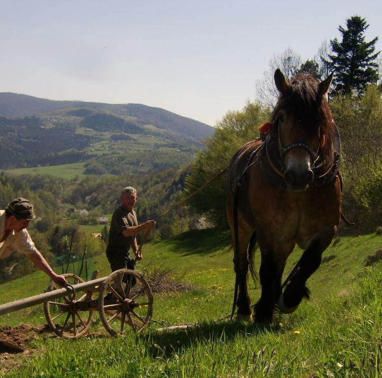 Agroturystyka Millerowka Kamionka Mala  Εξωτερικό φωτογραφία
